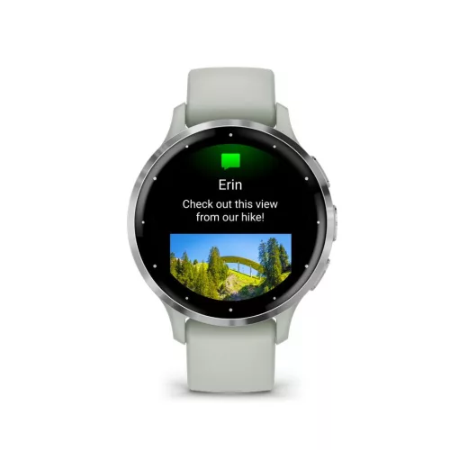 Garmin Venu 3S Silver Stainless Steel Bezel with Sage Grey Case and Silicone Band