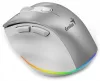 Genius Ergo 9000S Pro Wireless mouse Silver