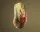 Steelseries CS2 Dragon Lore Edition Gaming Wireless Mouse