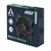 Arctic P12 Pro Reverse Black