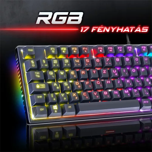 Spirit of Gamer XPERT K250 Mechanikus Gamer billentyűzet - HU, RED switch, Színes, Mechanikus, Normál, anti ghosting, vezetékes