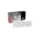 PowerColor AMD RX 9060 XT Hellhound Spectral White 16GB GDDR6 - RX9060XT 16G-L/OC/WHITE