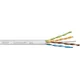 Bitner TI0044-305