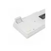White Shark GK-2201W-US RONIN vezetékes membrán gamer billentyűzet - fehér - US