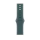 Apple Watch 40mm Sport Band:  Lake Green Sport Band - M/L (Seasonal)