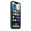 Apple iPhone 16e Silicone Case Lake Green