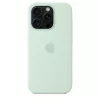 Apple iPhone 16 Pro Silicone Case with MagSafe - Aquamarine (SEASONAL)