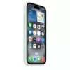 Apple iPhone 16 Silicone Case with MagSafe - Aquamarine (SEASONAL)