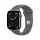 Apple Watch S11 Cellular 42mm Natural Titanium Case with Stone Grey Sport Band - S/M