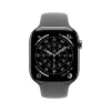 Apple Watch S11 Cellular 42mm Natural Titanium Case with Stone Grey Sport Band - M/L