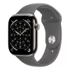 Apple Watch S11 Cellular 46mm Natural Titanium Case with Stone Grey Sport Band - M/L