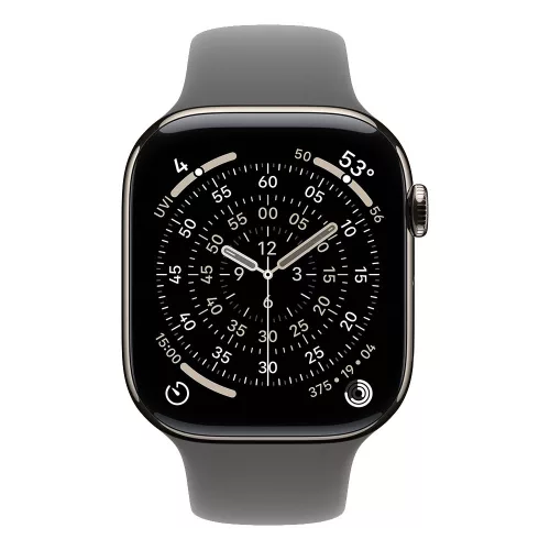 Apple Watch S11 Cellular 46mm Natural Titanium Case with Stone Grey Sport Band - M/L