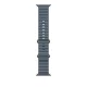 Apple Watch 49mm Band:  Anchor Blue Ocean Band - Natural Titanium Finish