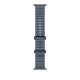 Apple Watch 49mm Band:  Anchor Blue Ocean Band - Black Titanium Finish