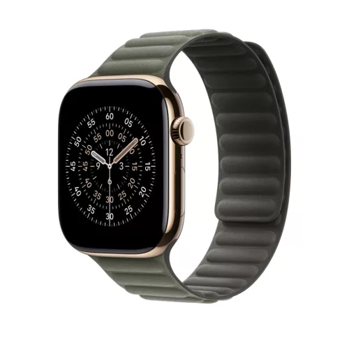Apple Watch 46mm Magnetic Link: Sage Gray Magnetic Link - S/M