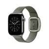 Apple Watch 42mm Modern Buckle: Sage Gray Modern Buckle - Large