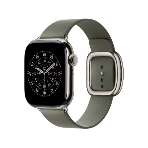 Apple Watch 42mm Modern Buckle: Sage Gray Modern Buckle - Large