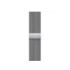 Apple Watch 41mm Band: Silver Milanese Loop