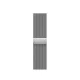Apple Watch 41mm Band: Silver Milanese Loop