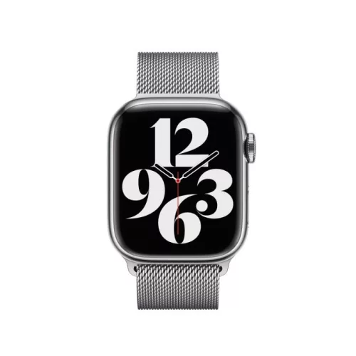 Apple Watch 41mm Band: Silver Milanese Loop