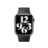 Apple Watch 38mm Band: Space Black Link Bracelet