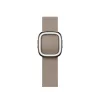 Apple Watch 41mm Band: Tan Modern Buckle - Large