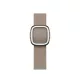 Apple Watch 41mm Band: Tan Modern Buckle - Large