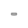 Apple USB-C to Lightning Adapter
