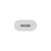 Apple USB-C to Lightning Adapter