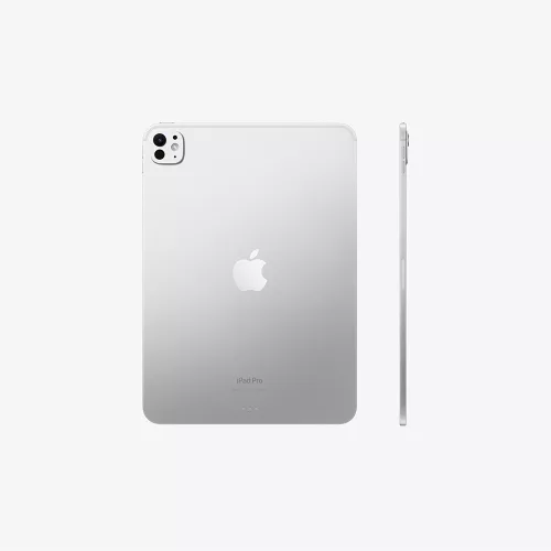 Apple 11-inch iPad Pro (M4) WiFi 2TB with Standard glass - Silver