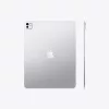 Apple 13-inch iPad Pro (M4) WiFi 256GB with Standard glass - Silver