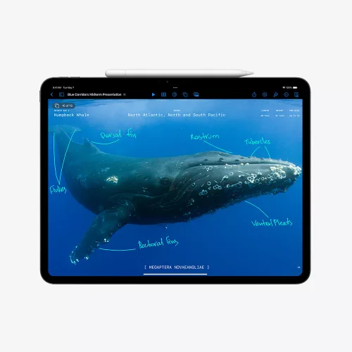 Apple 13-inch iPad Pro (M4) Cellular 512GB with Standard glass - Space Black