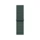 Apple Watch 42mm Sport Loop:  Lake Green Sport Loop