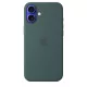 Apple iPhone 16 Plus Silicone Case with MagSafe - Lake Green (Seasonal)