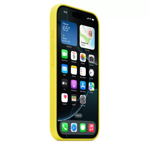 Apple iPhone 16 Pro Silicone Case with MagSafe - Star Fruit (Seasonal)